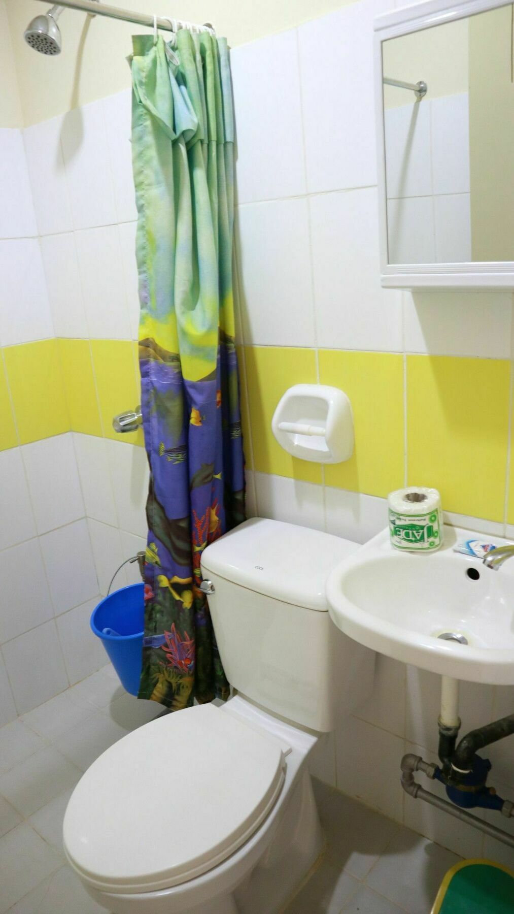C Tower Studio Apartments Puerto Princesa Eksteriør bilde